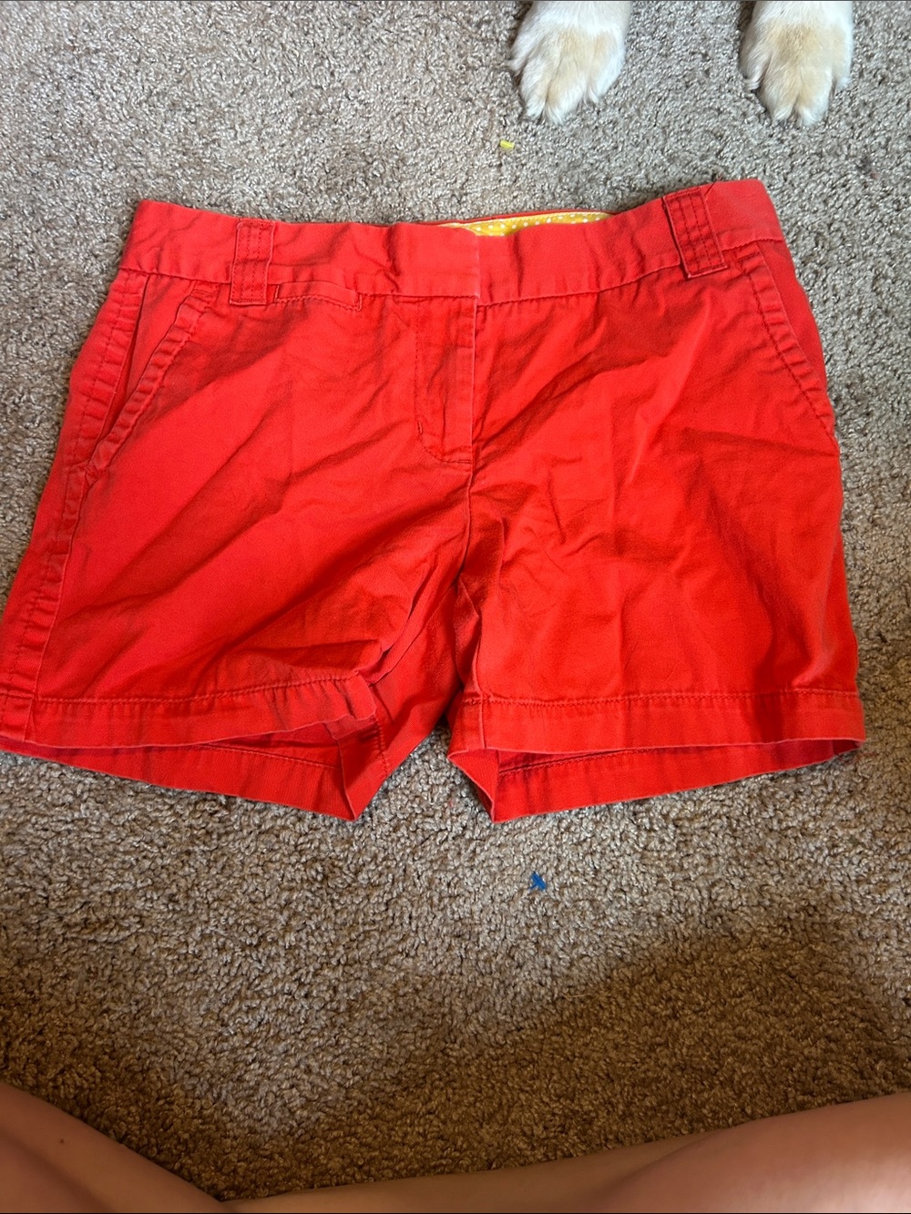 J. Crew Bright Red Cotton Bermuda Shorts
